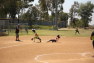 20120421056.jpg